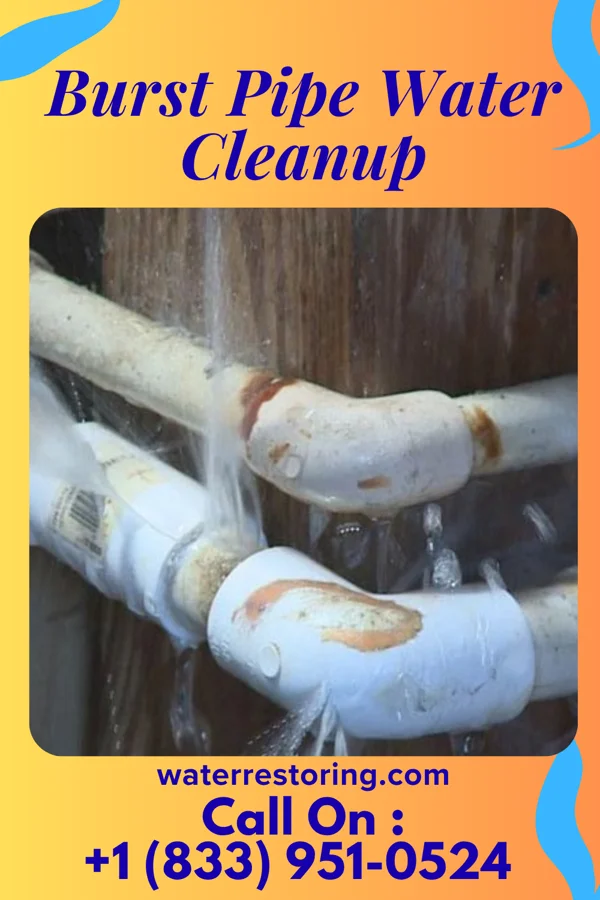 Burst Pipe Water Cleanup in Washburn, IA
